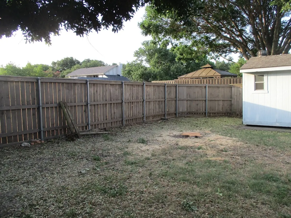 Cleared yard after professional tree removal in Story